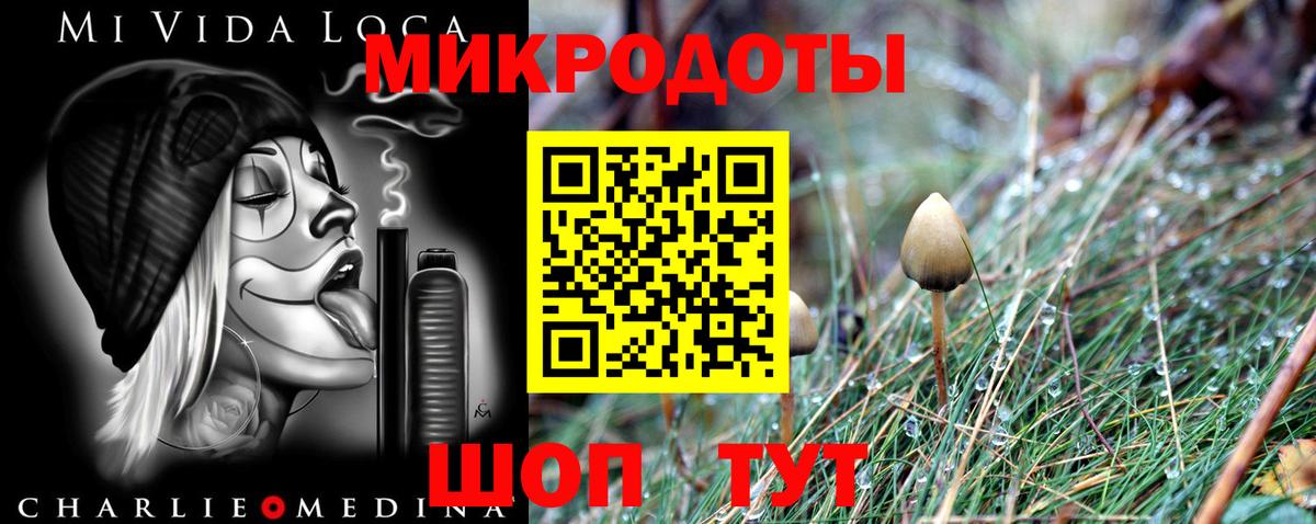 Галлюциногенные грибы MAGIC MUSHROOMS Тара