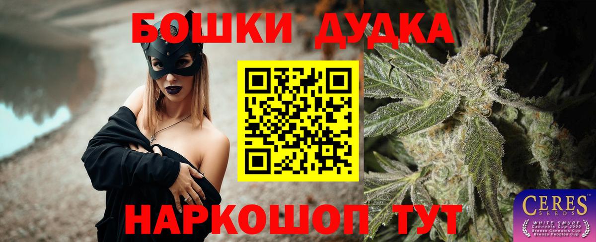 Каннабис планчик Тара